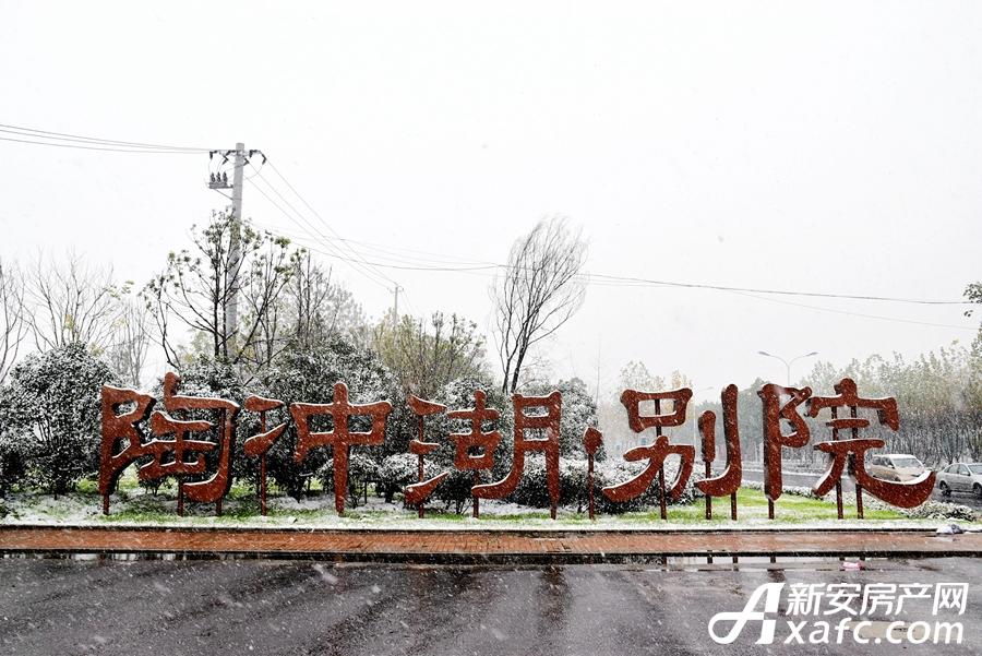 图集|陶冲湖别院:一场初雪 你惊艳了多少人的眼眸