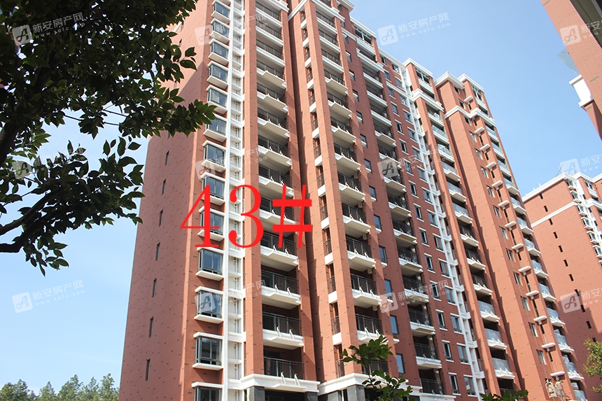 【宇业天逸华府】4月进度播报:南苑洋房外立面已呈现