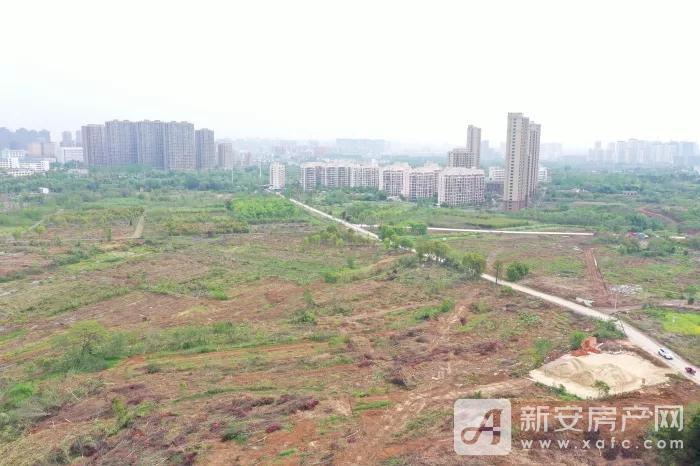 高新,肥西4大热门地块5月拍卖