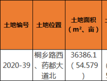 土地招拍挂