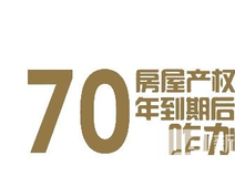 新房导购