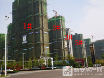 项目进度
