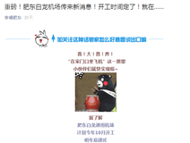 新房导购