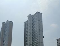 项目进度