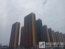 项目进度