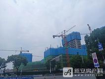 项目进度