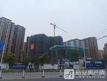 项目进度