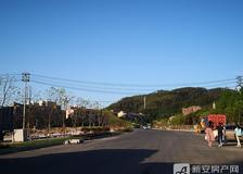 IMG_20200519_173804.jpg