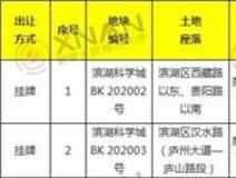 新房导购