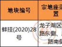 看地报告