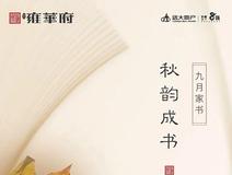 项目进度