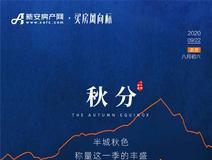 新房导购