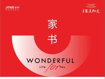项目进度
