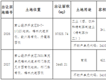 看地报告