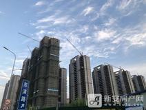 项目进度