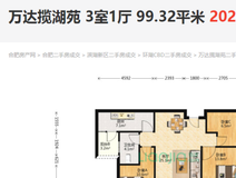 新安关注