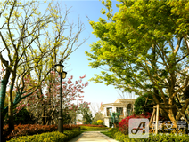 新安关注