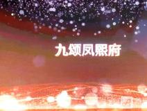 楼市快报