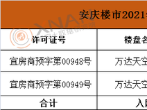 新房导购