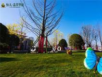 新房导购