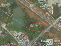 楼市快报