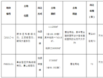 土地招拍挂