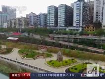楼市快报