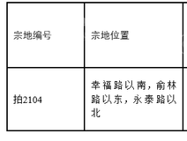 土地招拍挂
