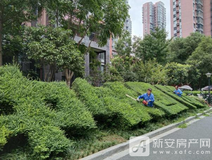 楼盘速递