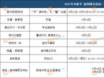 新房导购