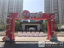 楼市快报