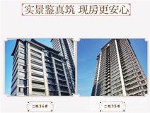 楼盘速递