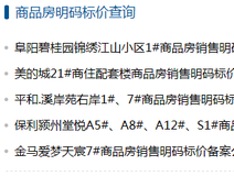 新房导购