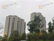 项目进度