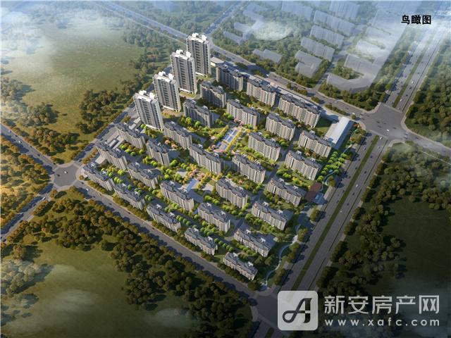 东方蓝海鸟瞰图