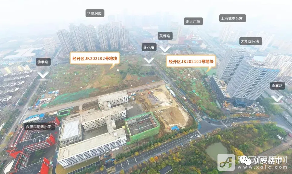 经开纯新盘