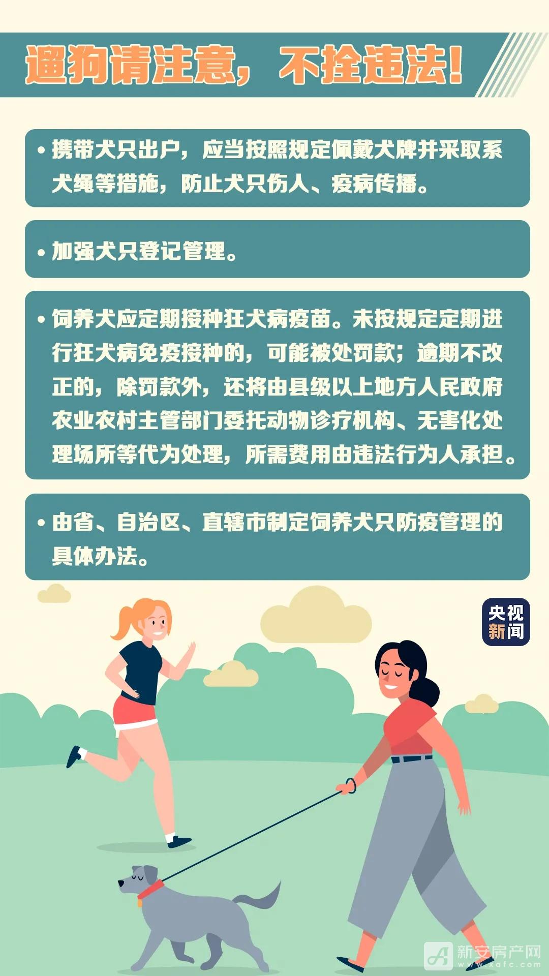 5.webp