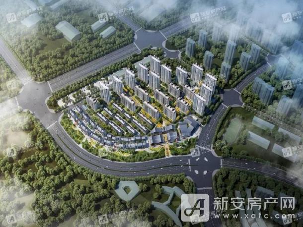 鸟瞰图