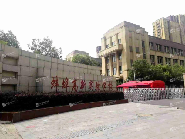 实拍图