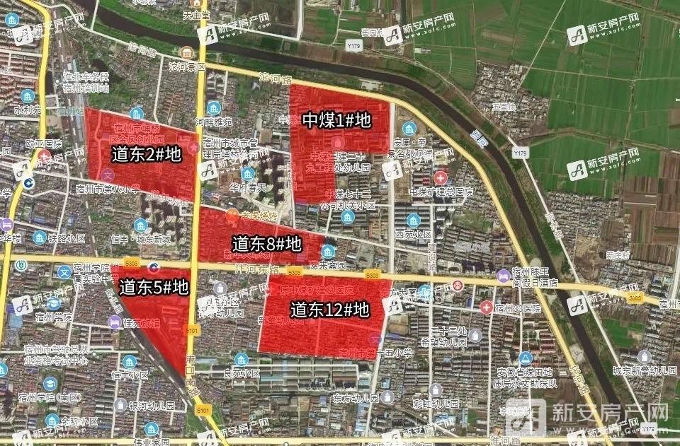 顶顶顶顶
