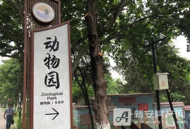 实拍图 (1)