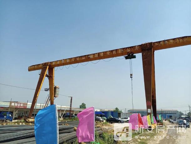 实拍图2 (1)