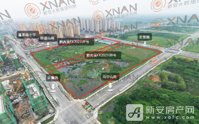 QQ截图20210713155603