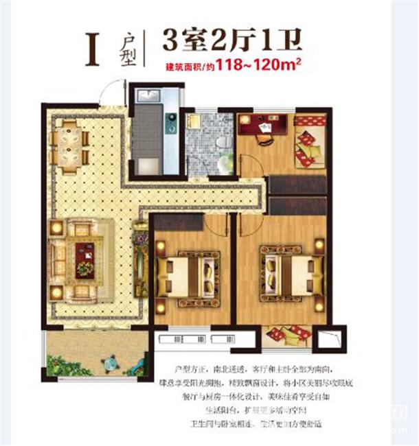 图片1