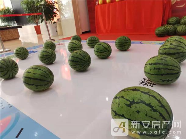 微信图片_202108061337121