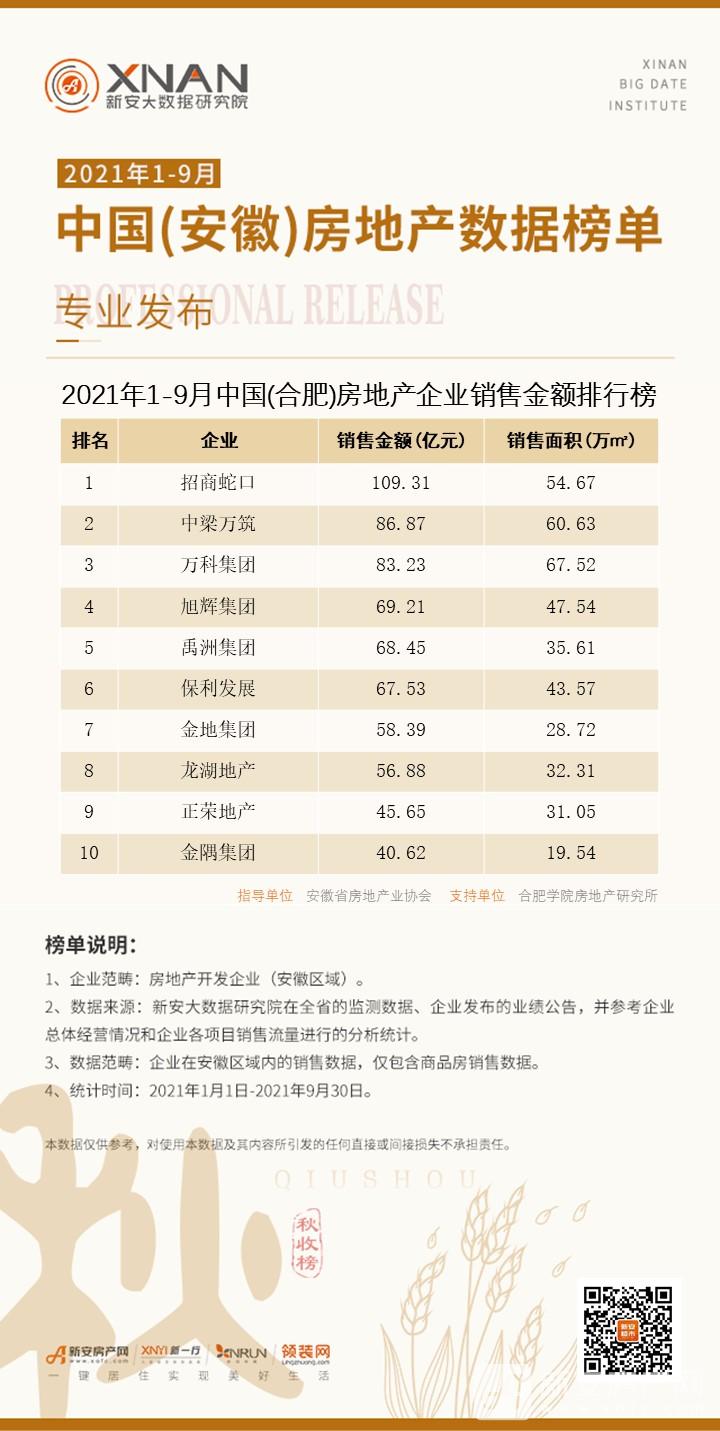 17、（合肥）房地产企业销售排行榜