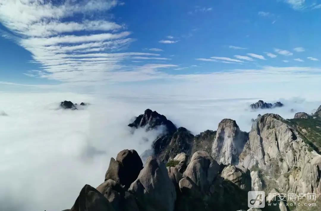 微信图片_20220126111532
