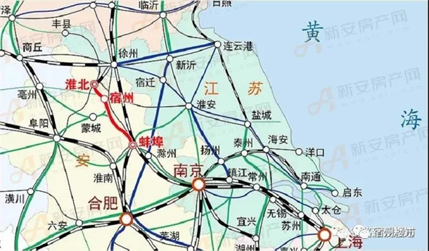 淮宿蚌