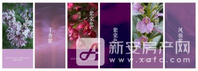图片 8
