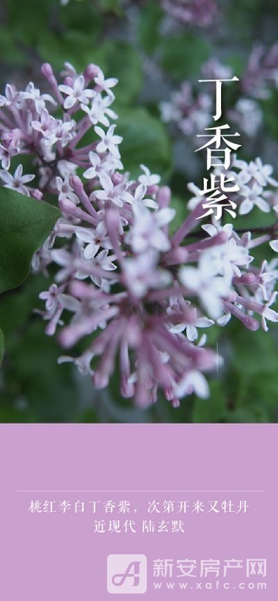 图片 9